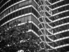 태양이 떠오르는 곳 04