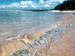 여름날, 우리 (후기)