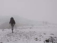 사람들은 삶의 긴 터널에서 무엇을 원동력으로 살아갈까요?