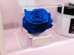 마비노기 밀레드림