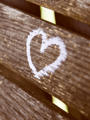 자급자족 슬램덩크 드림