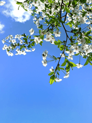 청춘에서 친구가 전부인가요?