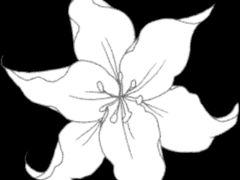 두고갔던, 수첩