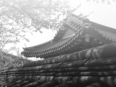 호백_지극히 사랑하는 마음이 불씨가 되어 上