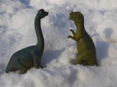 푸슝 맽탤+즁른 백업