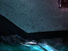 부티워크, 풀블룸 백업 8