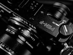 비로소 사랑하는 자들의 모든 노래가 깨어나면