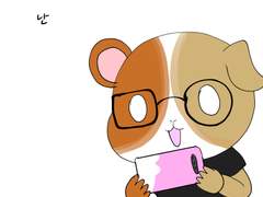 28화 길냥이 사진