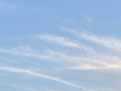 잠뜰은 그의 버릇을 잘 알았다