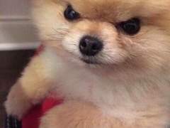 준희고 걔네들 4화