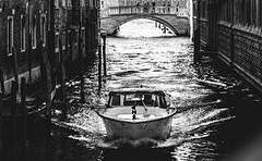 레지스탕스 세력