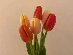 우리 동네 꽃집에는 사랑을 팔아요_ 02