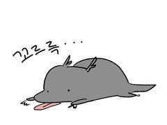 진혼기 포카도안