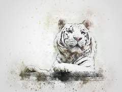 어린나이에 감방 다녀와서 아무것도 못하는 호랑이를 만난 곰 소설14