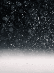 그날, 우리들의 겨울은