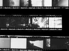 엔딩 크레딧 직원 상시 모집