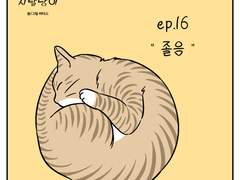 🐱우리집 지랄냥이 : 16화🐱
