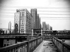 무색의 팔레트(1)