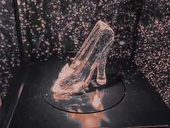 The dream that you wish will come true