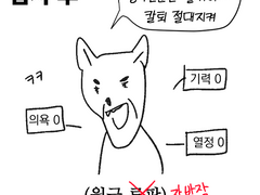 야 너두 취업 사기 칠 수 있어!