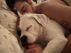 [타를로스] 휴무 겹치면 티케이 자는 모습 구경하는 카를로스