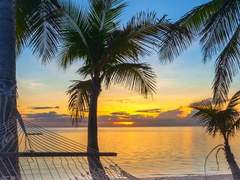 春の搖籃 (봄의 요람) 2