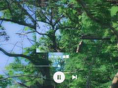 스타티스의 幽靈