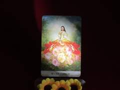 이번 주의 카드: The Empress