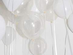 강아지반 하 연 XY