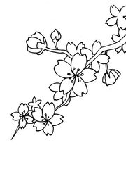 [JOARA] 부서진 조각의 행복