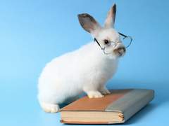 알바 면접 프리패스의 노하우