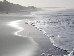 이상기후는 자연재해여서, 인간이 걷잡을 수 없다.