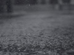 [호열백호] 강백호의 결혼식에는 비가 왔다