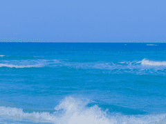 벌써 바다에 도착했어