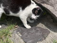 [SE HEE] 05.21 | 느리던 밤을 같이 웃고 그렇게 잠드는 저녁들을 지나