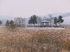 사돈 남말 하네.