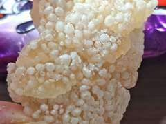 포포 리뷰 먹고 가세영