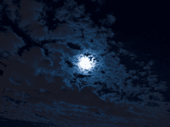 도시를 비추는 달