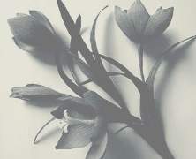 제목 진짜 뭐하지