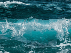 벗을 인도하는 자