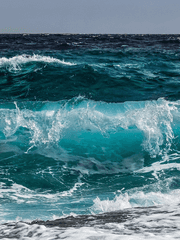 우물 밖 개구리 : 바다 위 백일몽