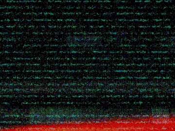 [네틱스] 입국 신청서