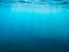 [1. 살해 당했는데 16살의 몸에서 깨어났습니다.]