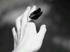 킨츠하이 대도서관에 어서오세요.