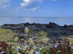 추억하며 기도하는 글