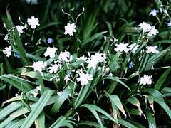 𝓜𝓪𝓻𝓲𝓸𝓷𝓮𝓽𝓽𝓮.