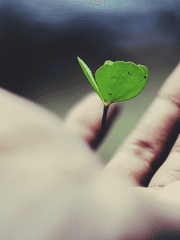 칼슘 가득 자기소개 및 잡담