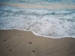 우울엔 이름이 없다.