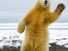 230521 흡연이 필요할 땐 심호흡을