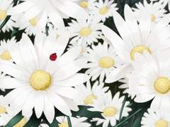 그저 지나가는 인연이라고 생각했다1